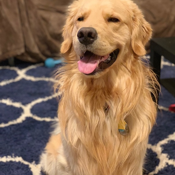 Meet your Posher, Roshani - Picture 1 of 1